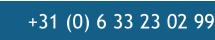 +31 (0) 6 33 23 02 99